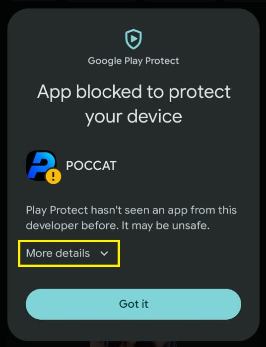 Google Play Protect warning before more details